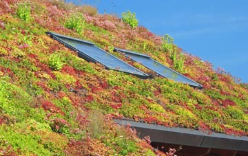 Bradford Leigh living roof systems