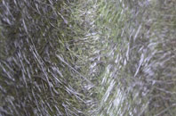 Bradford Leigh fibreglass roof work